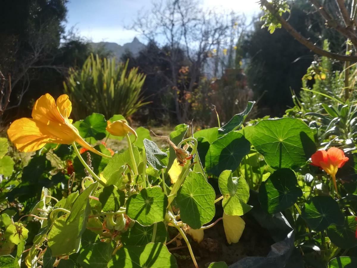 Villa Nanin Tilcara Εξωτερικό φωτογραφία